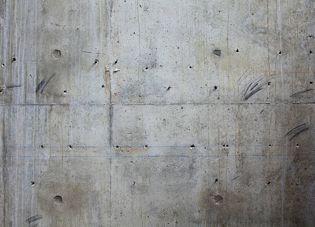 Best Waterproofing & Drywells  in Oakland, FL